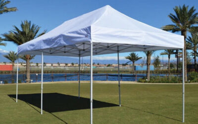 10 X 20 Canopy (Includes grass installation)
