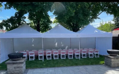 10 X 30 Canopy (Includes grass installation)