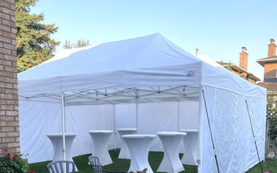 20 X 20 Canopy (Includes grass installation)