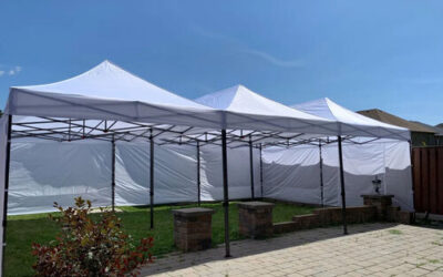20 X 30 Canopy (Includes grass installation)